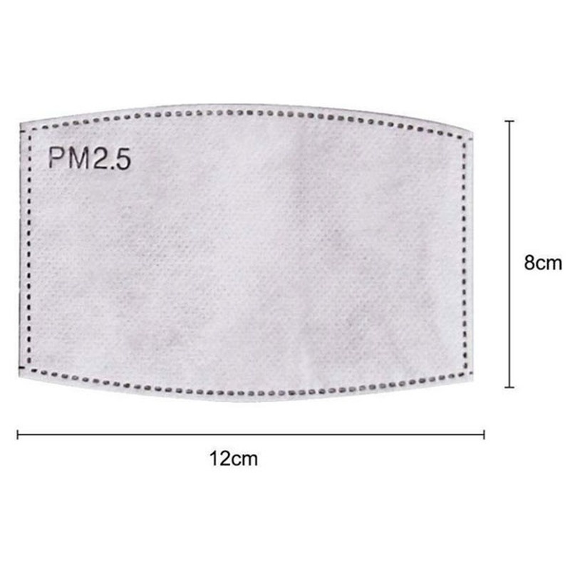 2PCS Mask Filter Element PM2.5 – Pm2.5 Filter Insert Bewertung und Preis